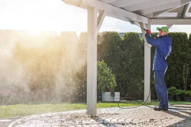 Best Driveway Pressure Washing  in Shenorock, NY